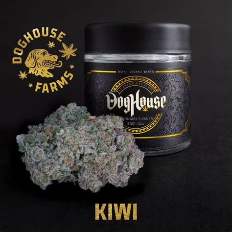 This heavily indica-dominant <b>strain</b> offers a subtle yet effective high with THC values of 14–18%. . Kiwi strain doghouse